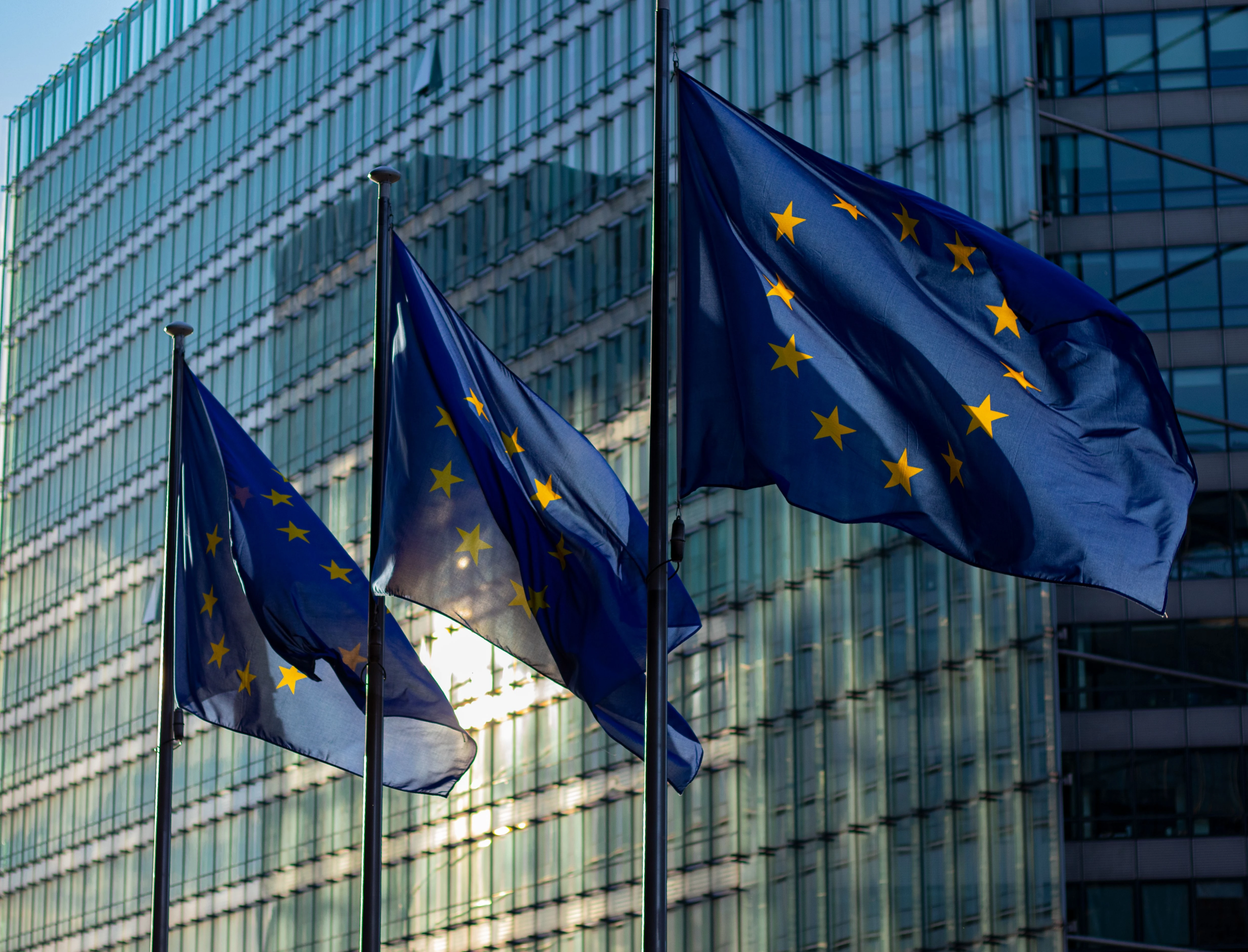 EU Flags